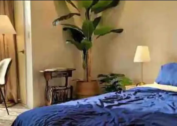 Casa Lily