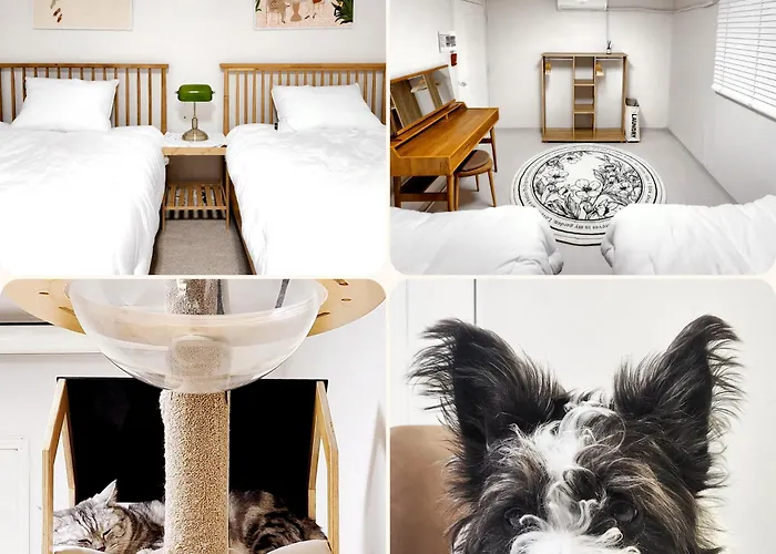 Ilbo Stay Seoul Homestay With Dog & Cat