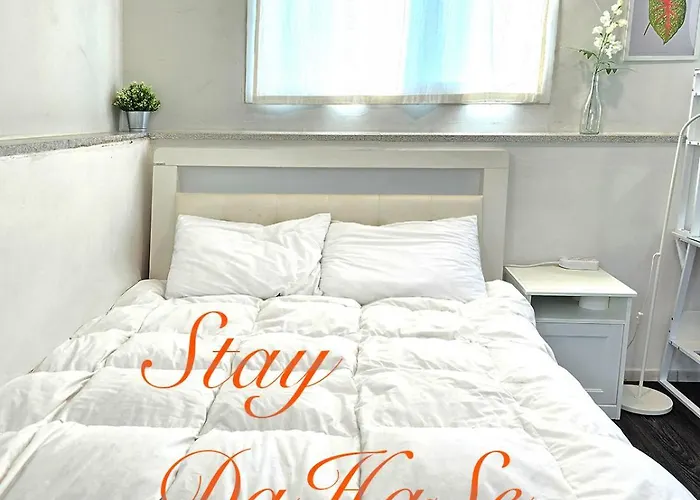 Stay Anam