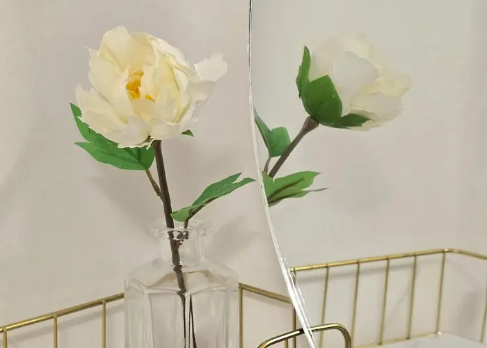 낙온- 성수10분,강남30분,Kspo40분,공항버스,주차,12시퇴실,장박세탁,에어컨세척완료
