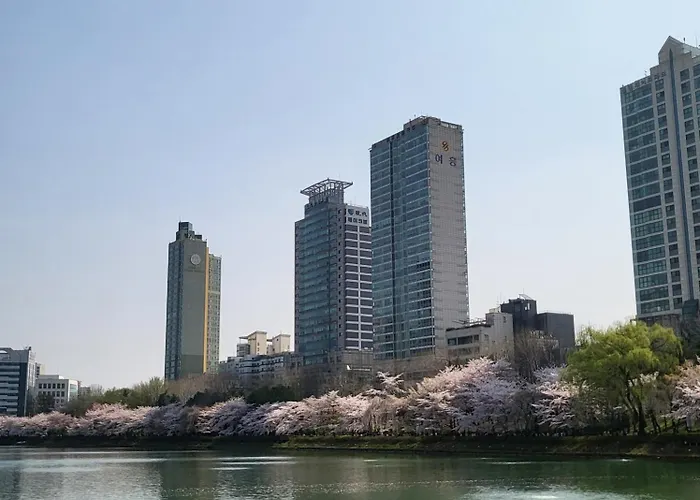 스테이 포렛