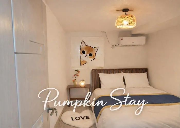 Pumpkin Stay Sindang
