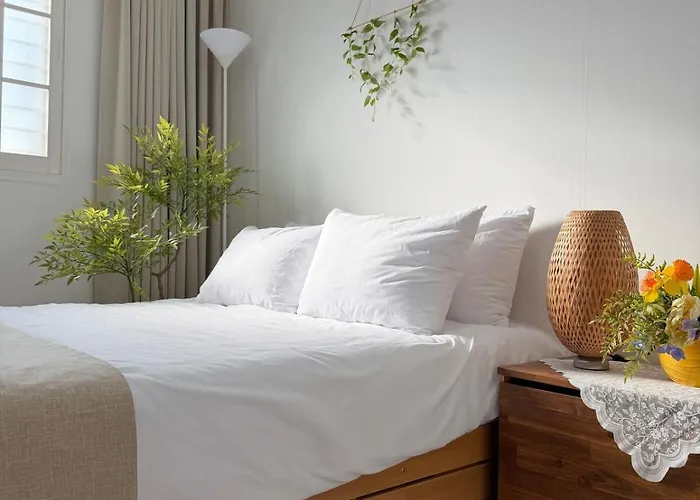 Hostay Cheongdam 2Br Gangnam 5 Oliveyoung