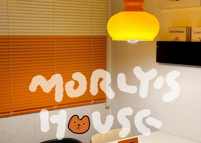 Morly The Cat'S Home