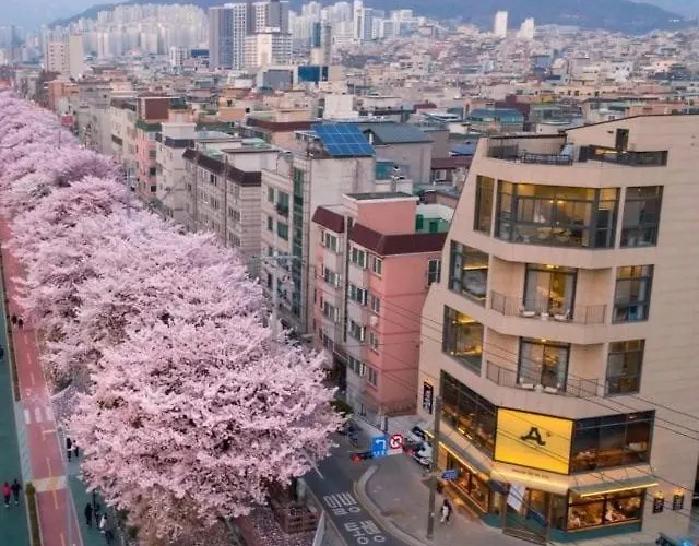 6인#홍대#Dmc역#커플,가족,단체여행#프라이빗 감성숙소#Maison De Ellie