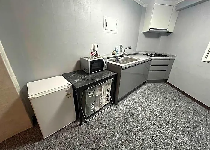 Modern Clean House In Gangnam 301