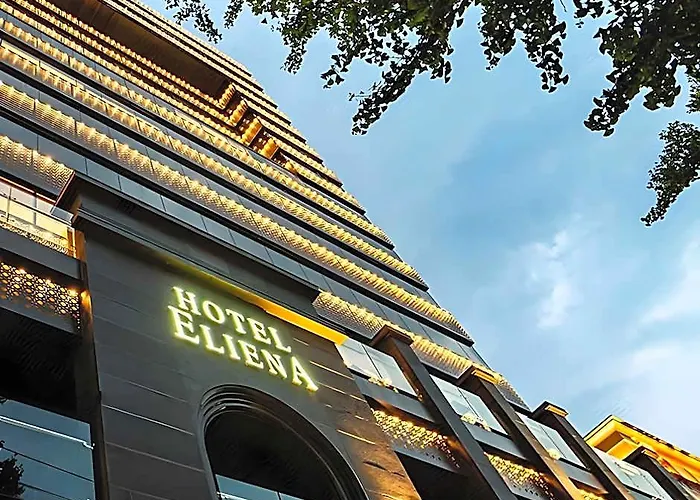 Hotel Eliena Seoul Gangnam