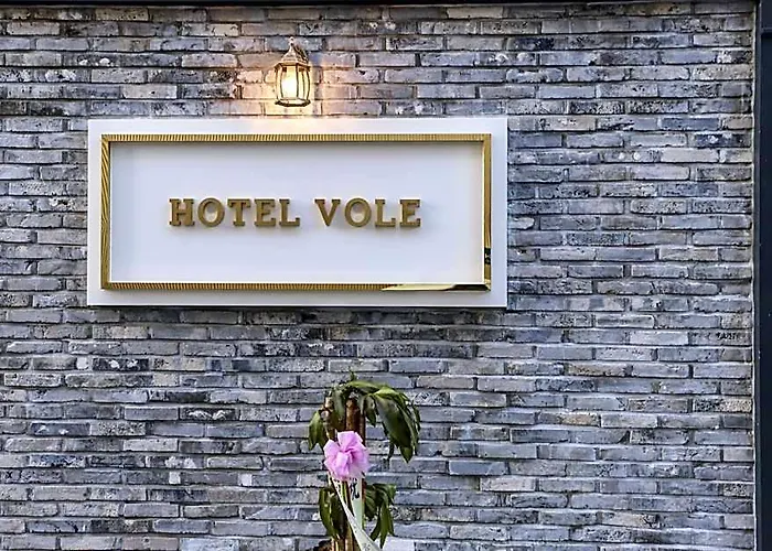 Yongin Hotel Vole