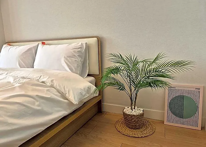 Grand Opened_Maxtyle Guesthouse Dongdaemun