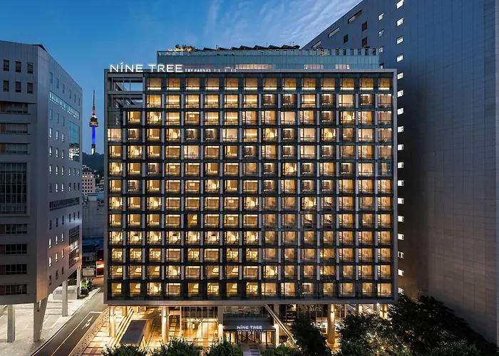 Nine Tree By Parnas Seoul Myeongdong 2