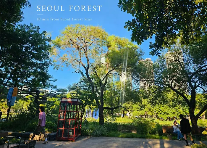 Seoul Soup Stay